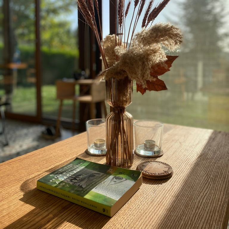 Haydar Masif Ahşap Borubon Orta Sehpa