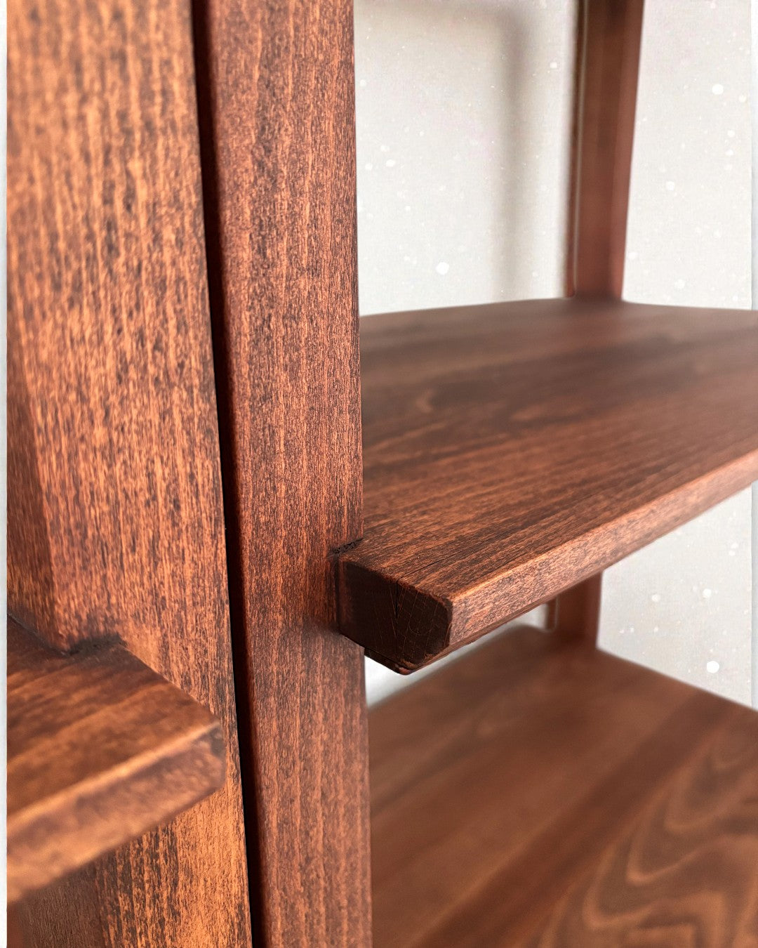 Zarife Solid Wood Arabica Bookcase
