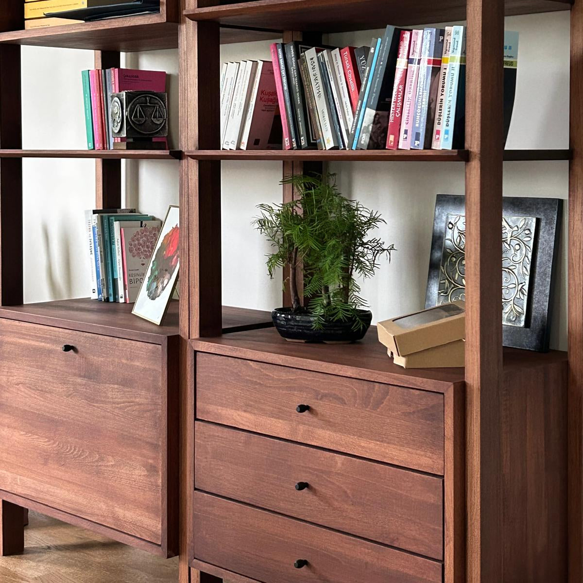 Zarife Solid Wood Arabica Bookcase